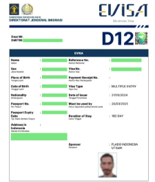 multiple entry pre investment visa index d12 (valid 1 year)